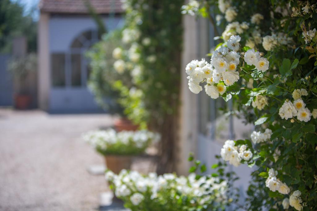 Hotel Domaine De Blanche Fleur Châteauneuf-de-Gadagne Exteriér fotografie